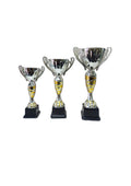 Silver & Gold Trophy Set of 3 - NC005