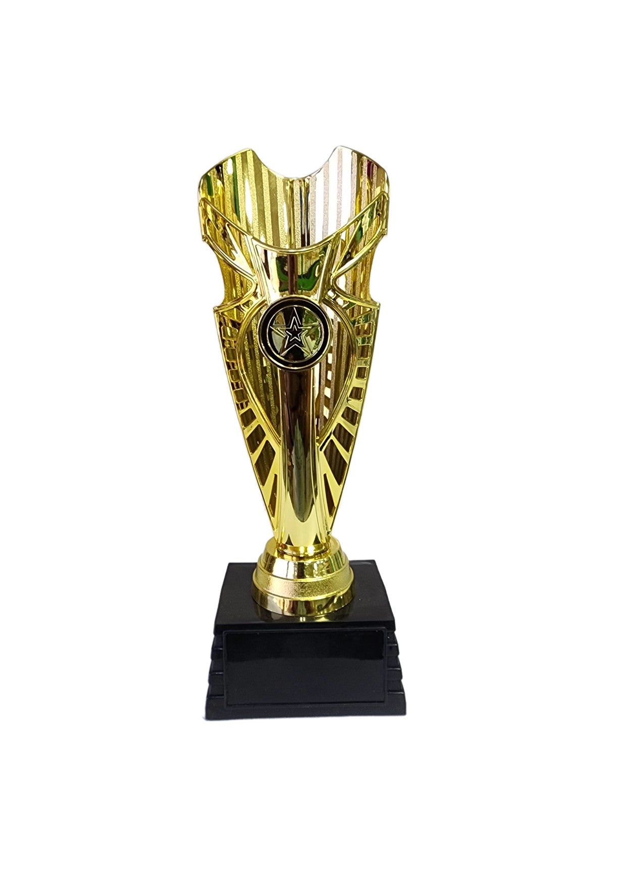 Gold Trophy with Moulded Base (PC04) - 250mm